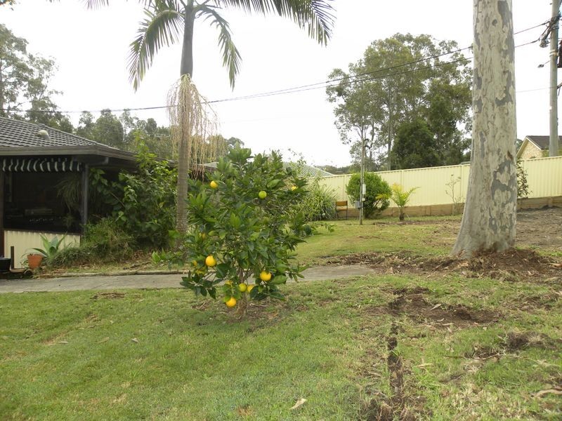 17 Delisle Drive, Watanobbi NSW 2259