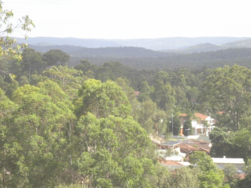 96 Watanobbi Rd, Watanobbi NSW 2259