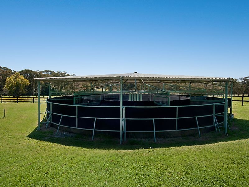 140 Hallards Road, Central Mangrove NSW 2250