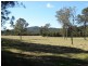 1507 Mandalong Road, Dooralong NSW 2259