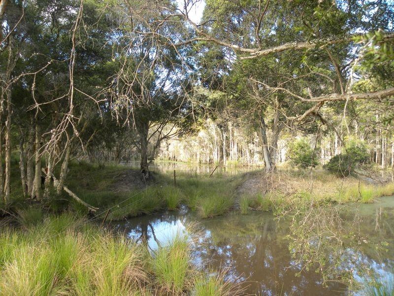 1507 Mandalong Road, Dooralong NSW 2259