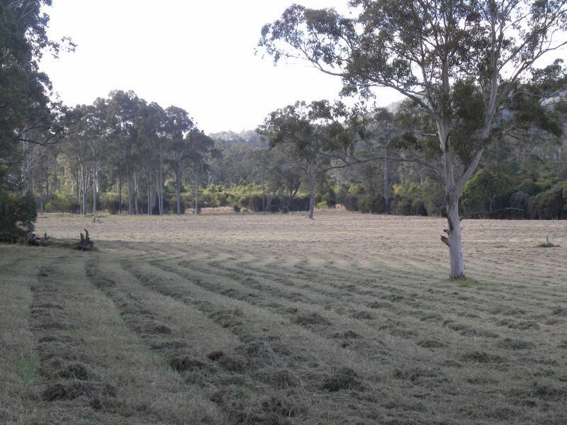 1507 Mandalong Road, Dooralong NSW 2259