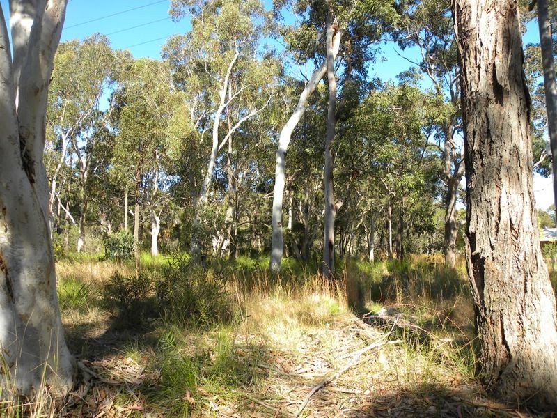 32-42 Mona Road, Woongarrah NSW 2259