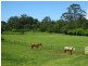 154 Pacific Highway, Kangy Angy NSW 2258