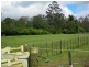 154 Pacific Highway, Kangy Angy NSW 2258