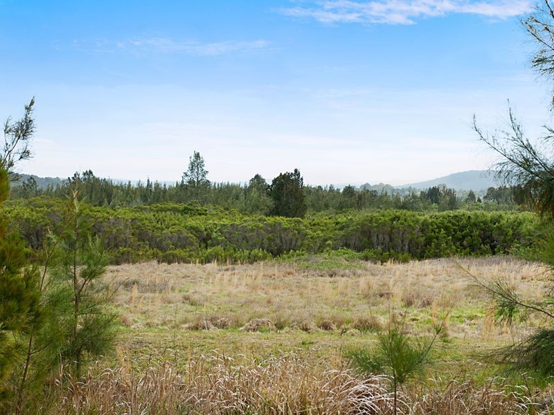 165 Brittania Drive, Watanobbi NSW 2259