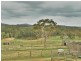 270 Bushells Ridge Road, Wyee NSW 2259