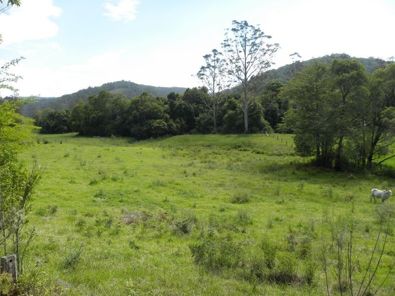 1803 Yarramalong Road, Yarramalong NSW 2259