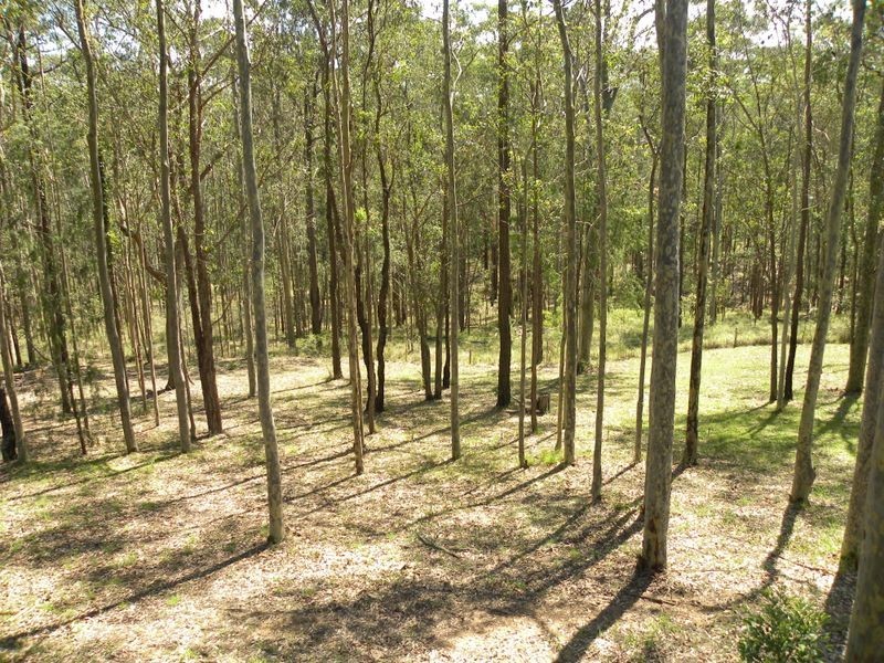 658 Dickson Road, Jilliby NSW 2259