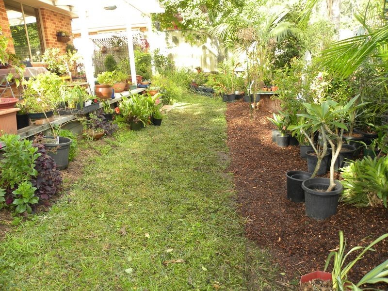 17 Indica Close, Tuggerah NSW 2259