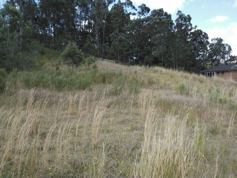 7 Fauna Close, Watanobbi NSW 2259