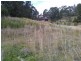 7 Fauna Close, Watanobbi NSW 2259