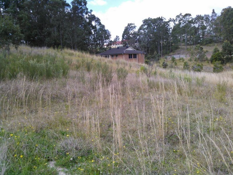 7 Fauna Close, Watanobbi NSW 2259