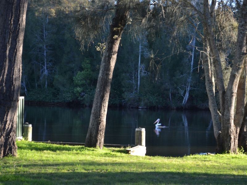 51 Boyce Avenue, Wyong NSW 2259