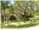 1350 Yarramalong Road, Wyong Creek NSW 2259