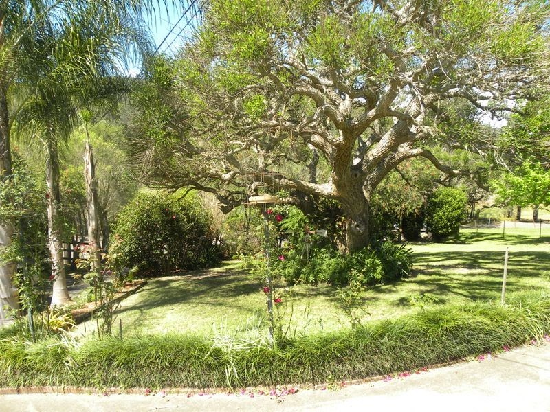 1350 Yarramalong Road, Wyong Creek NSW 2259