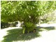 1350 Yarramalong Road, Wyong Creek NSW 2259