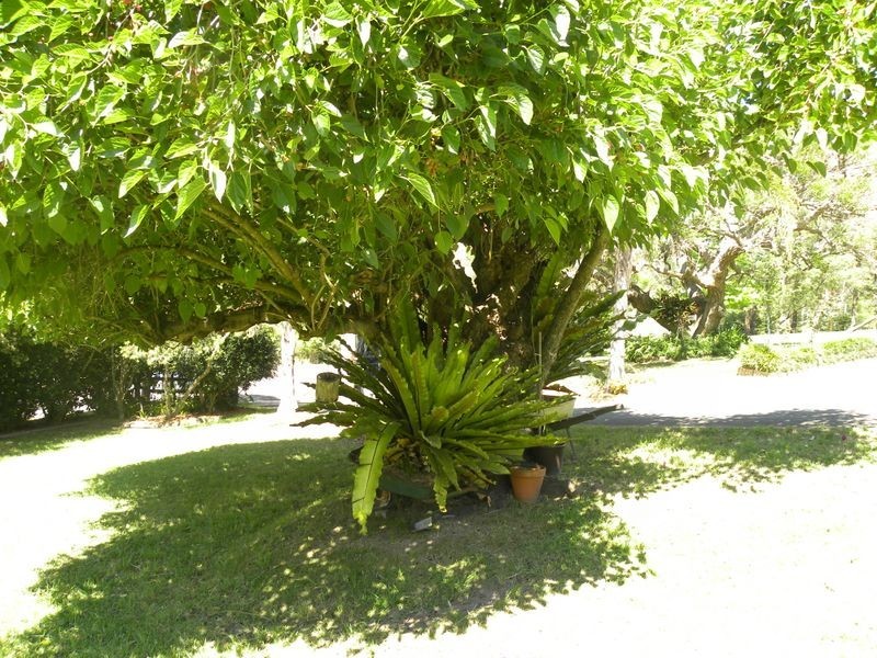 1350 Yarramalong Road, Wyong Creek NSW 2259