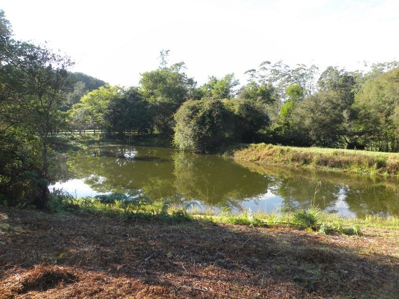 1036 Yarramalong Road, Wyong Creek NSW 2259