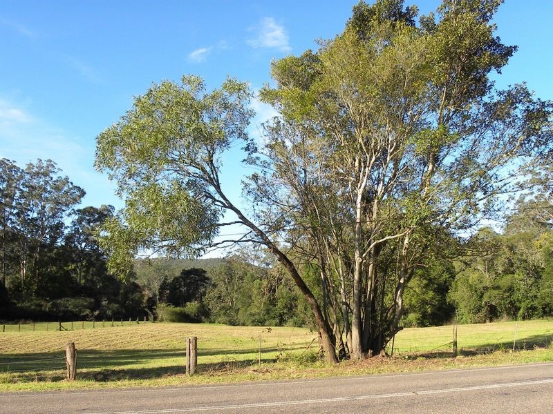 1036 Yarramalong Road, Wyong Creek NSW 2259