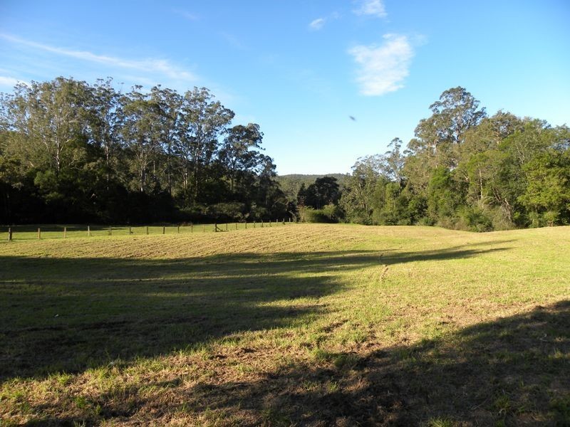 1036 Yarramalong Road, Wyong Creek NSW 2259