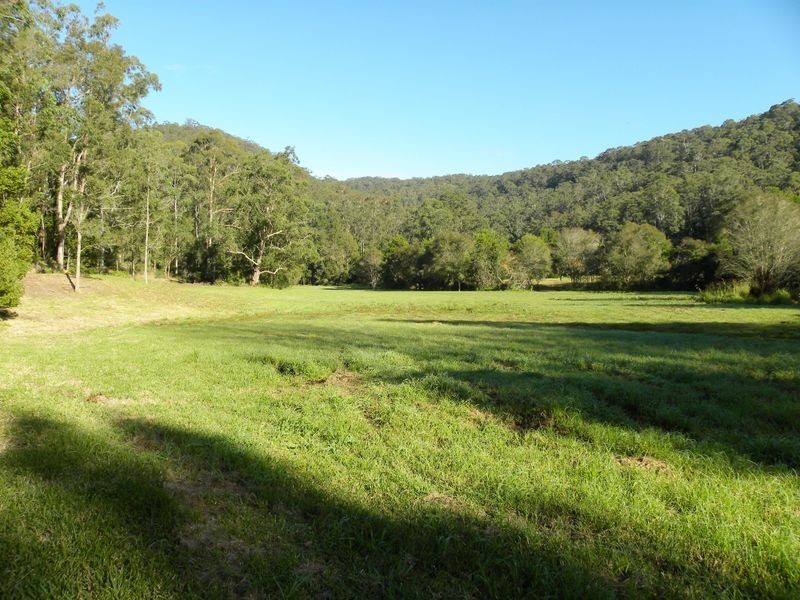 1036 Yarramalong Road, Wyong Creek NSW 2259