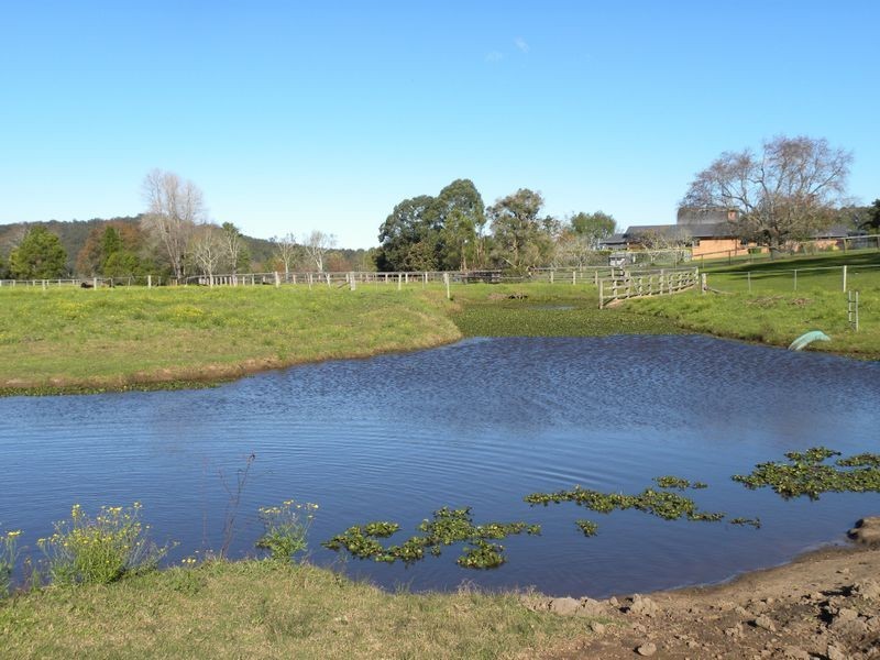 351 Jilliby Road, Jilliby NSW 2259