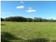 351 Jilliby Road, Jilliby NSW 2259