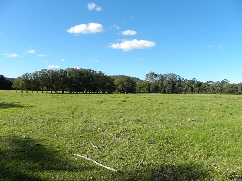 351 Jilliby Road, Jilliby NSW 2259