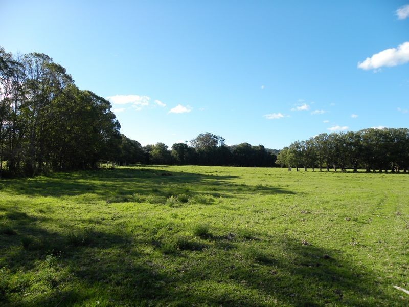 351 Jilliby Road, Jilliby NSW 2259