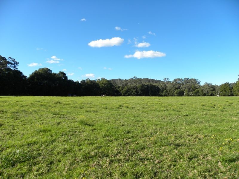 351 Jilliby Road, Jilliby NSW 2259