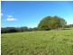 351 Jilliby Road, Jilliby NSW 2259