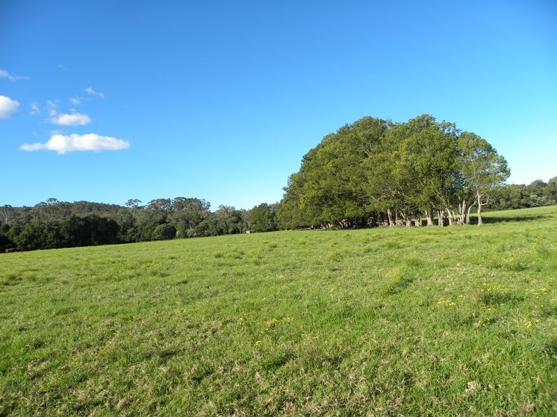 351 Jilliby Road, Jilliby NSW 2259