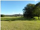 351 Jilliby Road, Jilliby NSW 2259