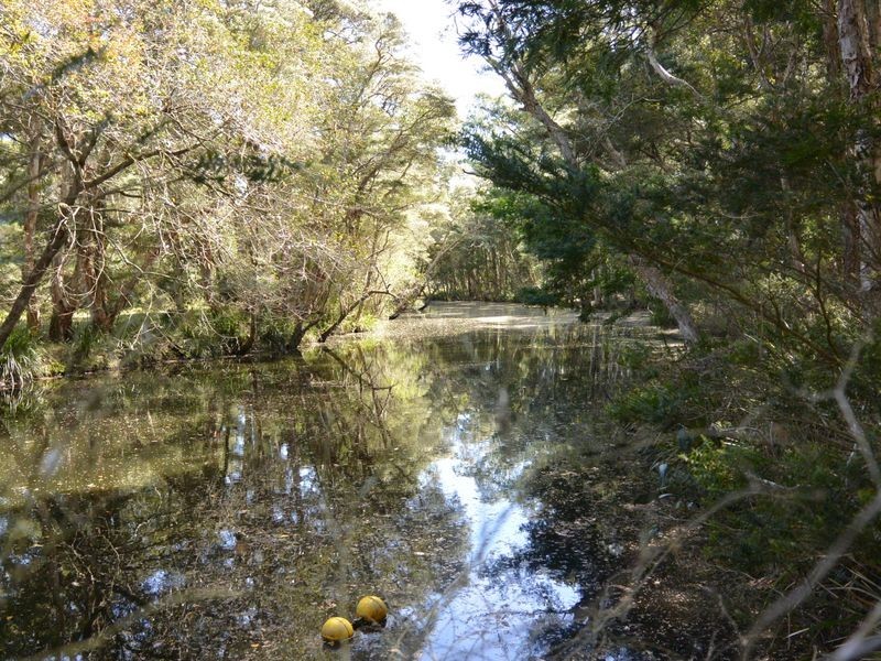 182 Smiths Road, Jilliby NSW 2259