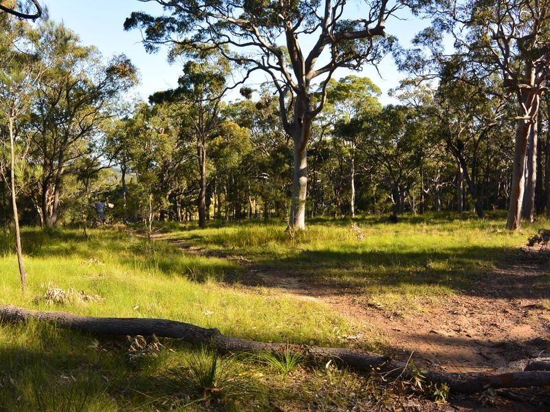 188 Hakone Road, Woongarrah NSW 2259