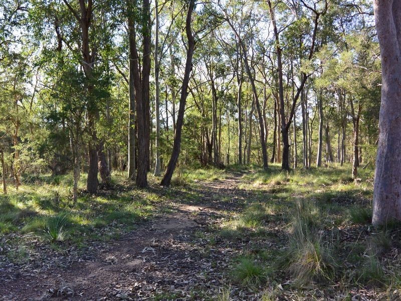 188 Hakone Road, Woongarrah NSW 2259