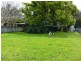 3 Lake Road, Tuggerah NSW 2259