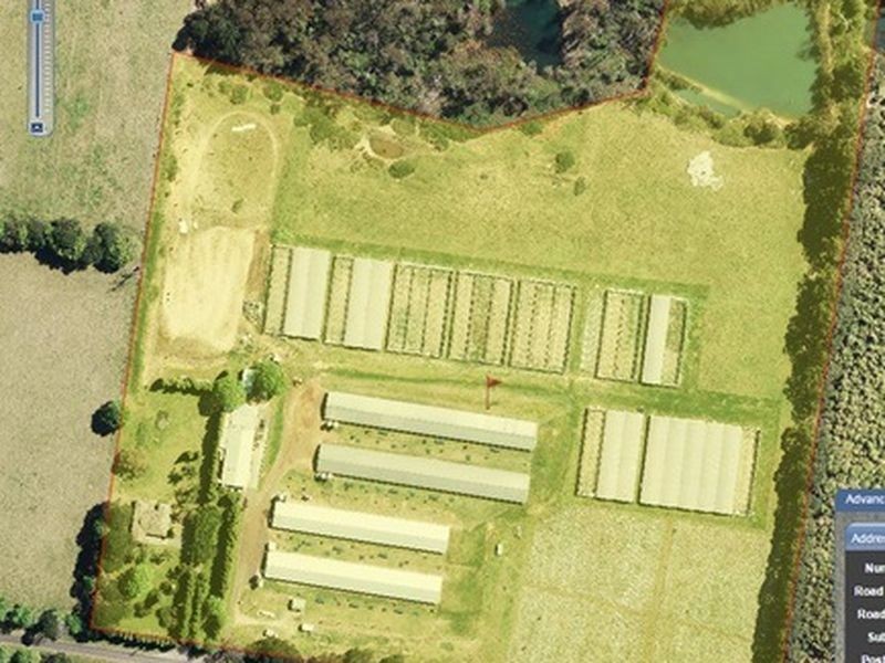 121 Euloo Road, Peats Ridge NSW 2250