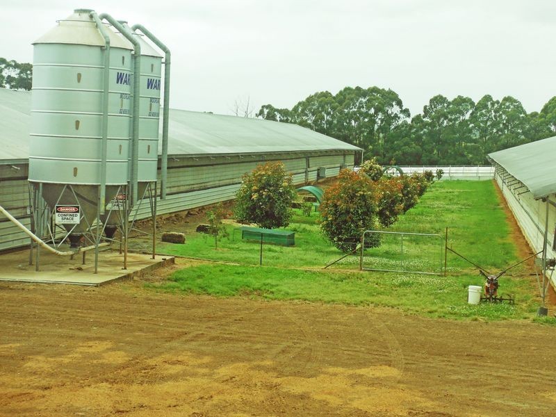 121 Euloo Road, Peats Ridge NSW 2250