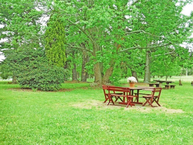 121 Euloo Road, Peats Ridge NSW 2250