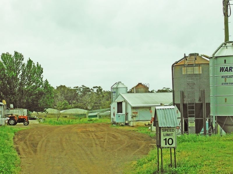 121 Euloo Road, Peats Ridge NSW 2250