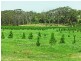 Kulnura NSW 2250