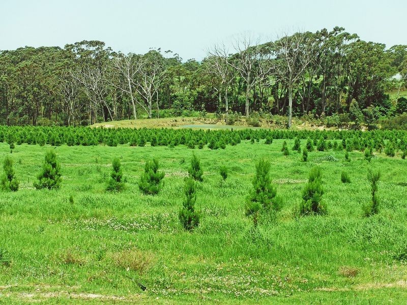 Kulnura NSW 2250