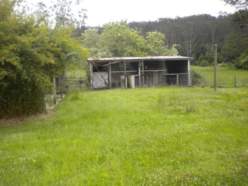 31 Palmdale Rd, Palmdale NSW 2258