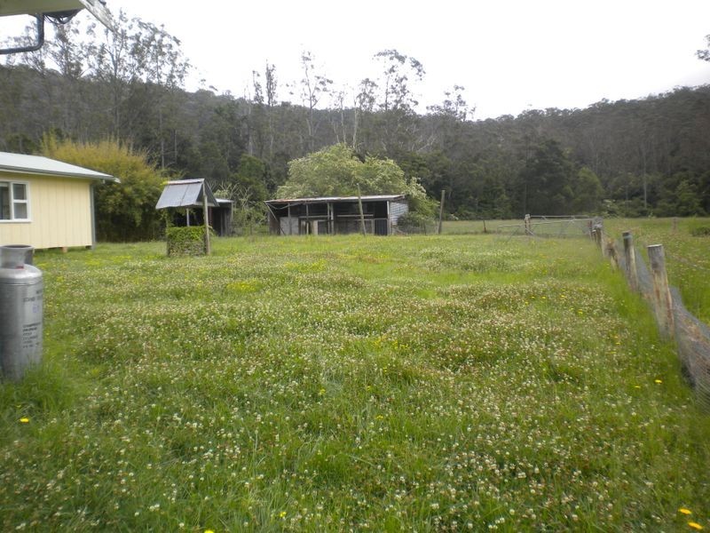 31 Palmdale Rd, Palmdale NSW 2258