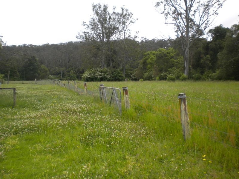 31 Palmdale Rd, Palmdale NSW 2258