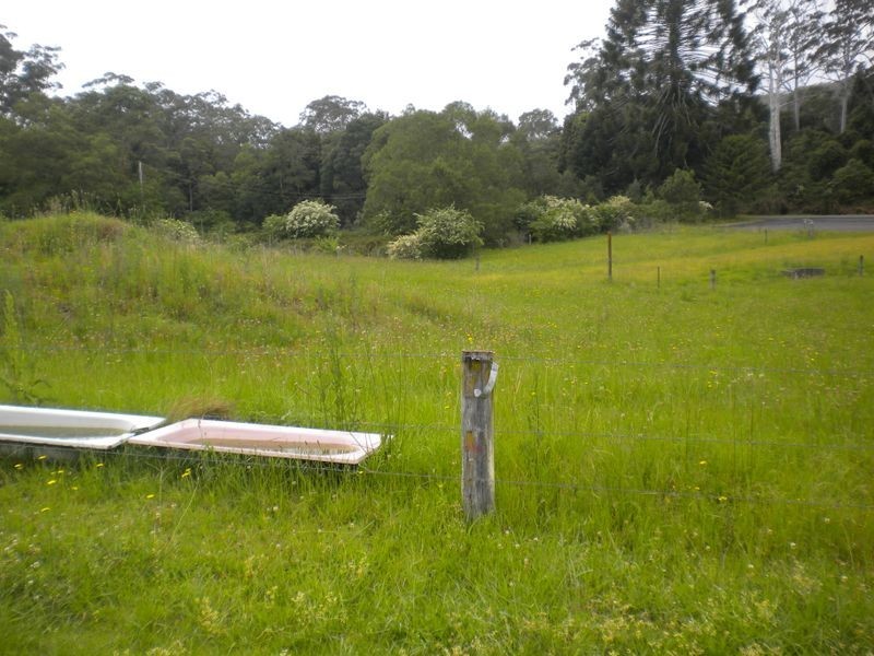 31 Palmdale Rd, Palmdale NSW 2258