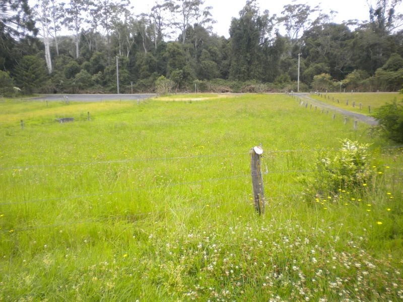 31 Palmdale Rd, Palmdale NSW 2258