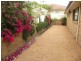 1 Lupin Close, Woongarrah NSW 2259